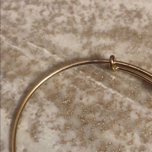 SALE Alex and Ani Bracelet - Picture 5 of 5
